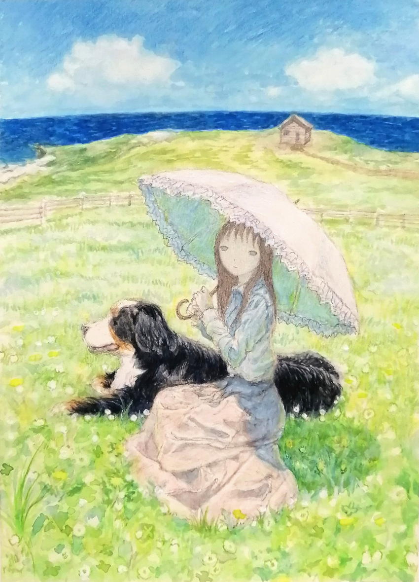 1girl, absurdres, bernese_mountain_dog, black_fur, blue_sky, brown_hair, clouds, dog