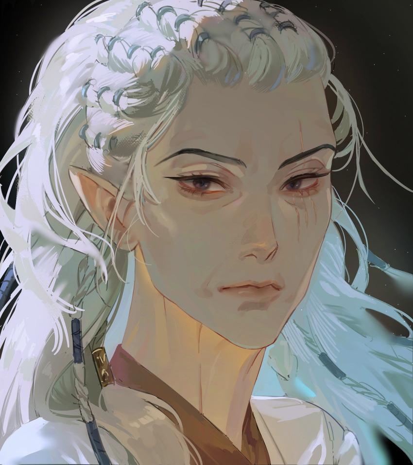 1girl, 2_go00, baldur's_gate, baldur's_gate_3, black_eyes, braid, brown_background, commentary_request, dungeons_and_dragons, elf, expressionless, from_side, hair_tubes, highres, jaheira, korean_commentary, long_hair, looking_at_viewer, mature_female, multiple_braids, pointy_ears, portrait, ring_hair_ornament, scar, scar_across_eye, simple_background, solo, white_hair