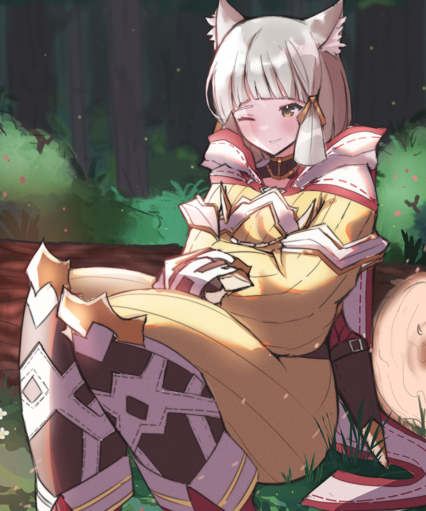 1girl, animal_ear_fluff, animal_ears, blush, brown_eyes, commentary, day, feet_out_of_frame