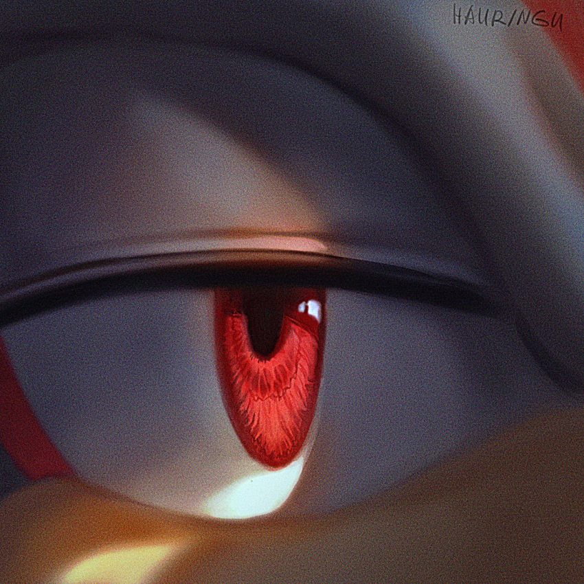 1boy, animal_nose, artist_name, black_fur, eye_focus, furry, furry_male, half-closed_eye