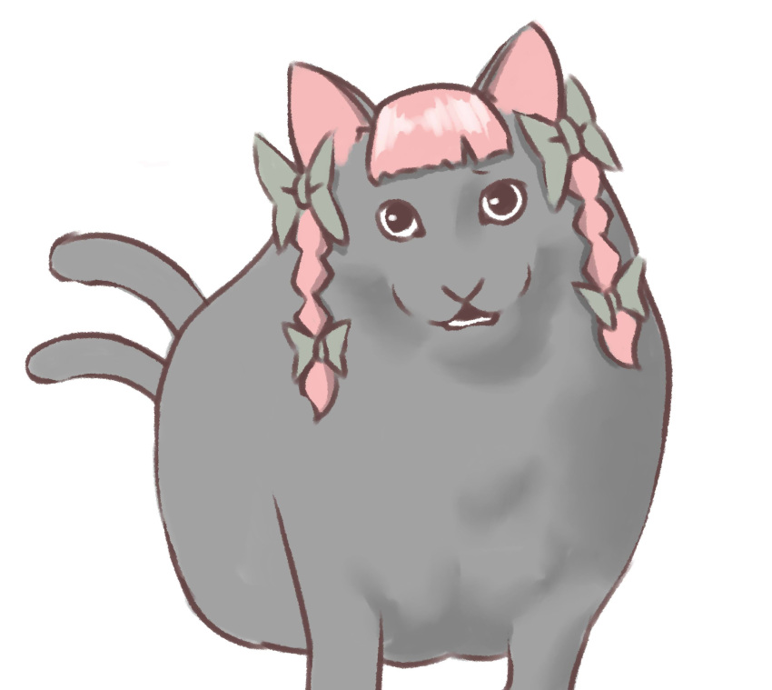 animal_focus, black_eyes, bow, braid, cat, full_body, green_bow, grey_cat