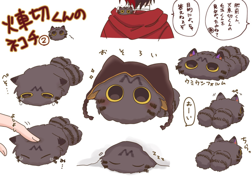 1boy, animal, animal_focus, animal_hat, black_hair, black_headwear, cat, cat_hat