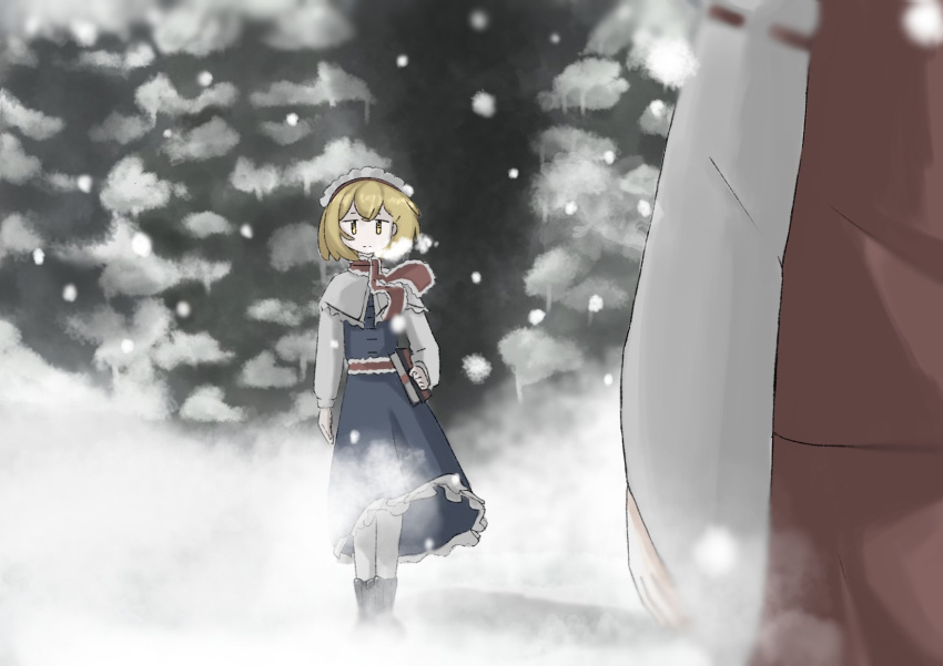 2girls, alice_margatroid, bat_krub, blonde_hair, blue_dress, book, boots, brown_footwear, capelet, closed_mouth, dress, english_commentary, expressionless, frilled_dress, frilled_hairband, frills, grimoire, hairband, hakurei_reimu, highres, holding, holding_book, mob_face, multiple_girls, pov, red_dress, red_hairband, short_hair, snow, snow_on_tree, solo_focus, touhou, tree, white_capelet, white_sleeves, winter, yellow_eyes