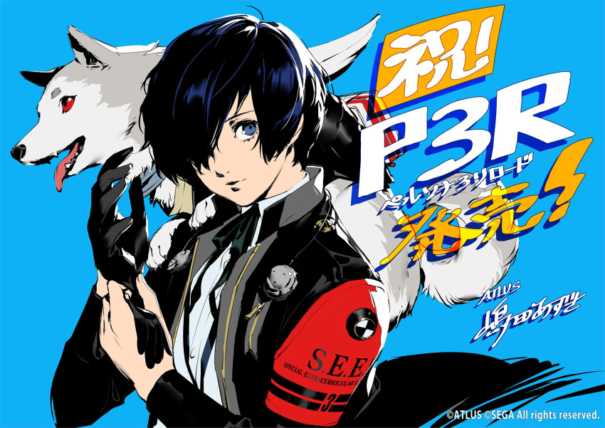 1boy, adjusting_clothes, adjusting_gloves, animal, animal_on_shoulder, armband, artist_name, black_gloves