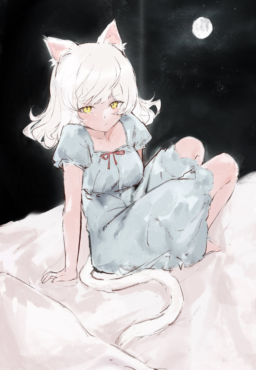 1girl, animal_ears, black_hanekawa, blue_dress, bow, cat_ears, cat_tail, collarbone