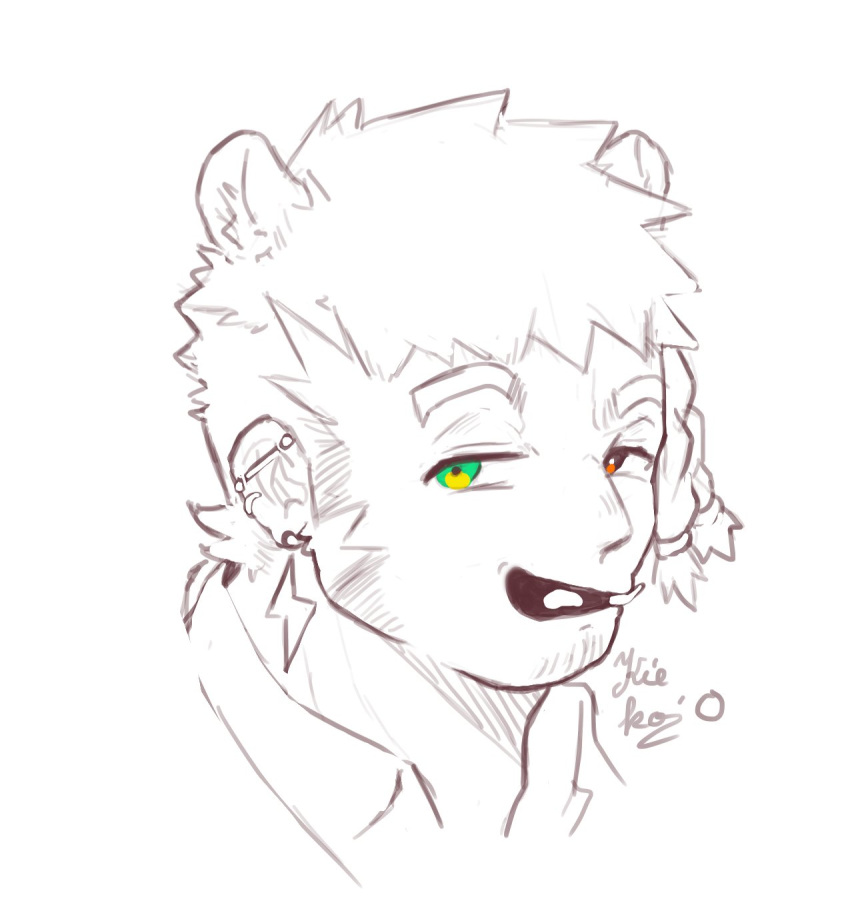 animal_ears, braid, brown_eyes, ear_piercing, earrings, facial_hair, green_eyes, highres