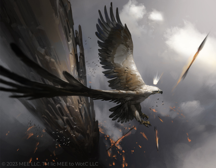 animal_focus, arrow_(projectile), axelsauerwald, beak, bird, check_animal, clouds, company_name