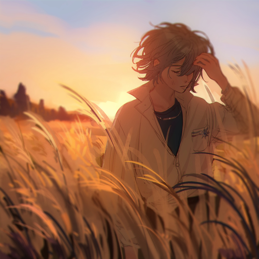 1boy, absurdres, arm_at_side, blue_hair, blue_undershirt, blurry, breast_pocket, closed_eyes, coke_6, collared_shirt, depth_of_field, field, grey_hair, hair_over_one_eye, hand_up, highres, jewelry, long_sleeves, mahoutsukai_no_yakusoku, male_focus, nature, necklace, nero_turner, outdoors, partially_unbuttoned, pocket, shirt, short_hair, sky, solo, twilight, undershirt, white_shirt