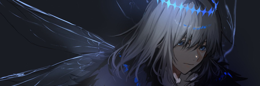 1boy, arthropod_limbs, bishounen, black_cloak, cloak, diamond_hairband, dragonfly_wings, expressionless