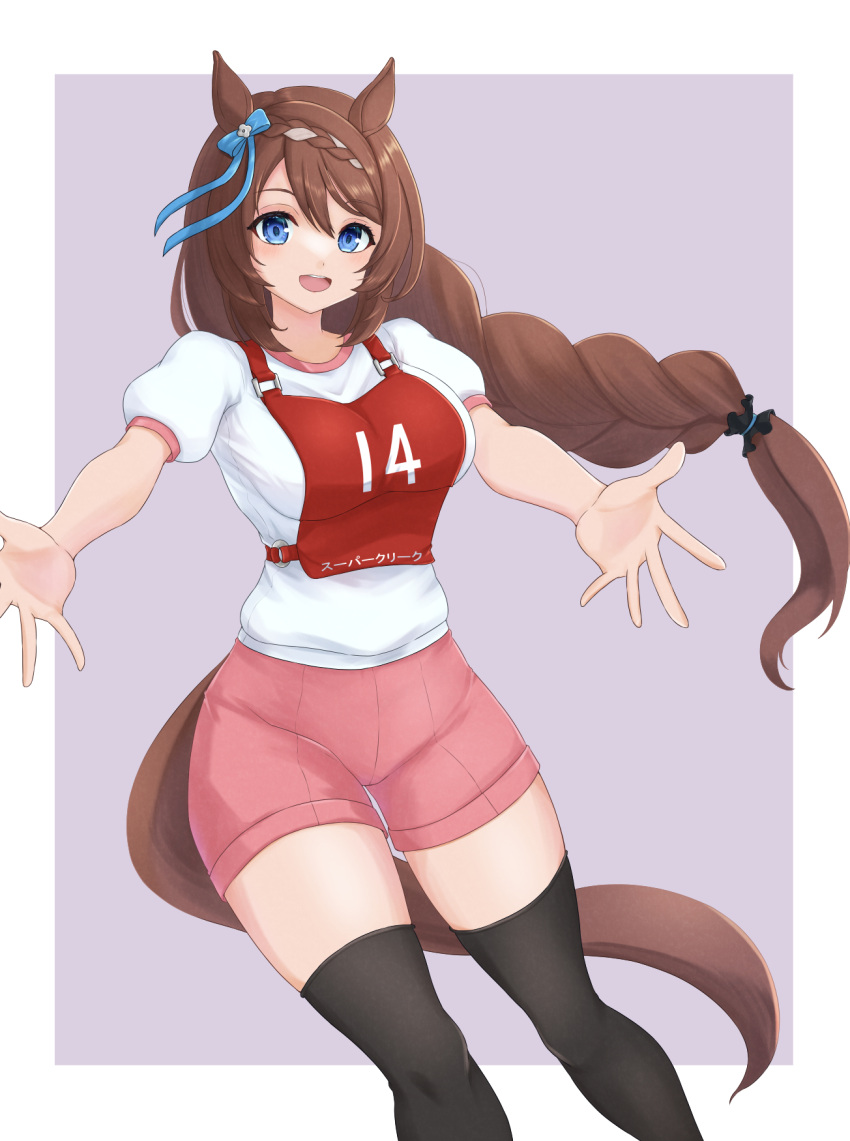 1girl, animal_ears, black_thighhighs, blue_eyes, braid, braided_ponytail, brown_hair, character_name
