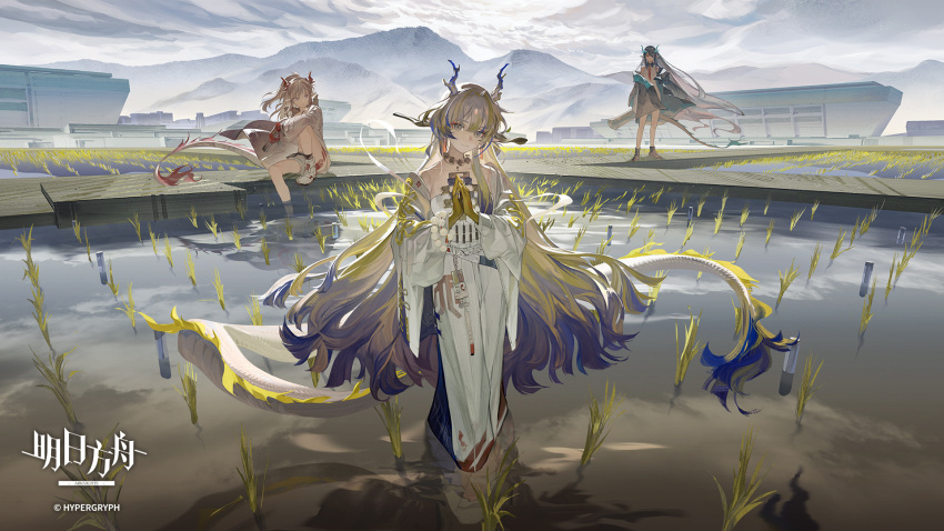 3girls, arknights, black_hair, black_jacket, chinese_commentary, commentary_request, copyright_name, dragon_girl, dragon_horns, dragon_tail, dusk_(arknights), hair_ornament, hair_stick, highres, holding, holding_sword, holding_weapon, horns, jacket, looking_at_another, looking_at_viewer, luckyia, mountainous_horizon, multicolored_hair, multiple_girls, nian_(arknights), official_art, own_hands_together, pants, pointy_ears, rice_(plant), rice_paddy, shirt, shu_(arknights), smile, sword, tail, weapon, white_footwear, white_hair, white_jacket, white_pants, white_shirt