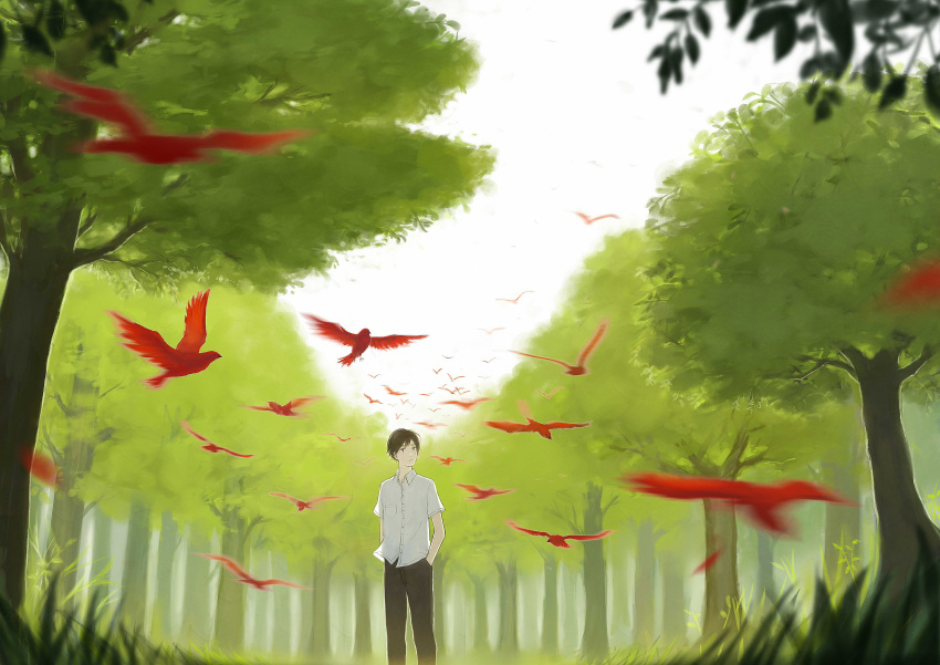 1boy, absurdres, atrovirens, bird, black_hair, black_pants, blurry, blurry_foreground, buttons, chinese_commentary, closed_mouth, collared_shirt, expressionless, forest, grass, hands_in_pockets, highres, male_focus, motion_blur, nature, original, outdoors, pants, plant, red_bird, shirt, short_hair, sky, solo, standing, tree, white_shirt, white_sky