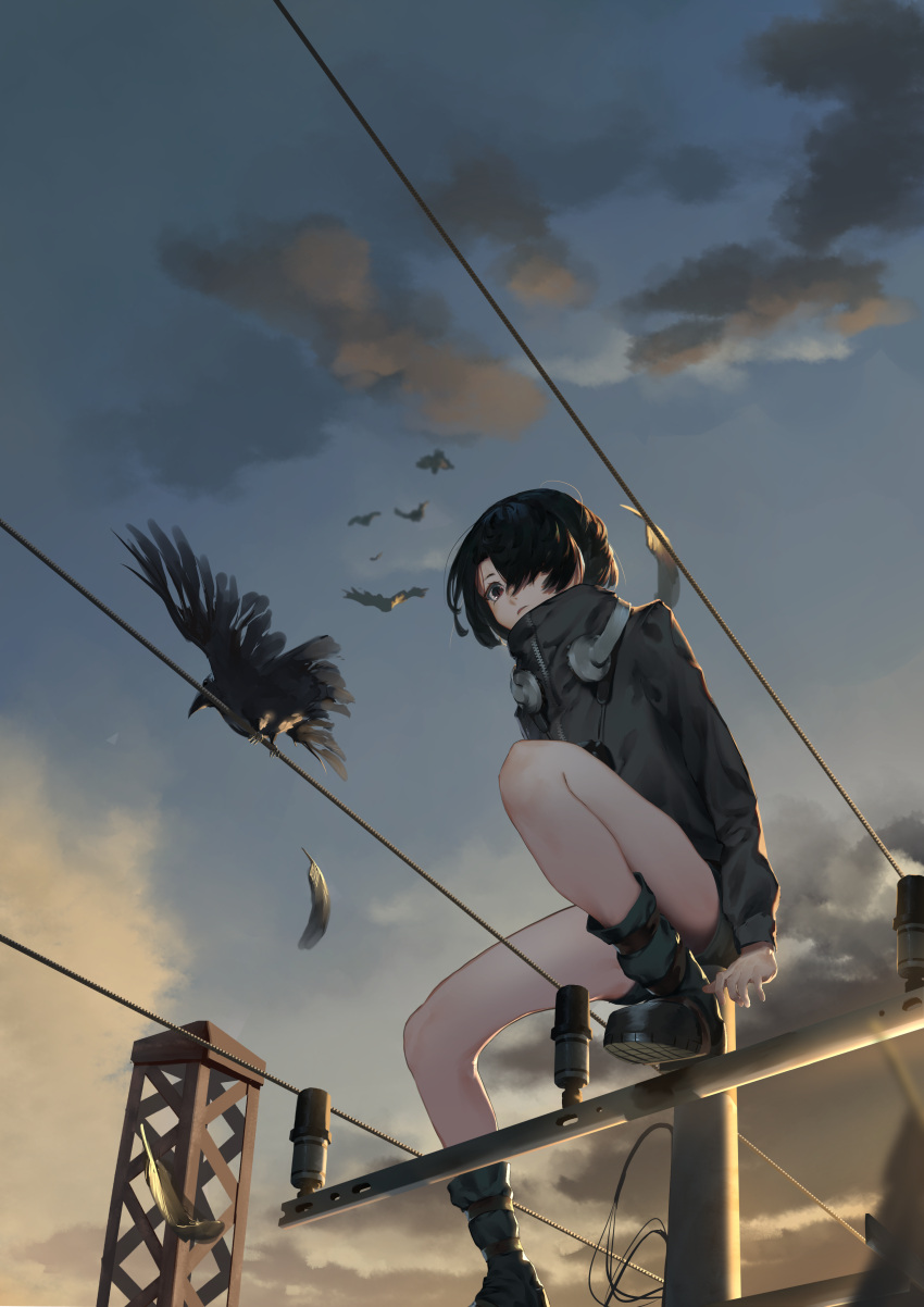 1girl, absurdres, backlighting, bird, black_eyes, black_footwear, black_hair, black_jacket