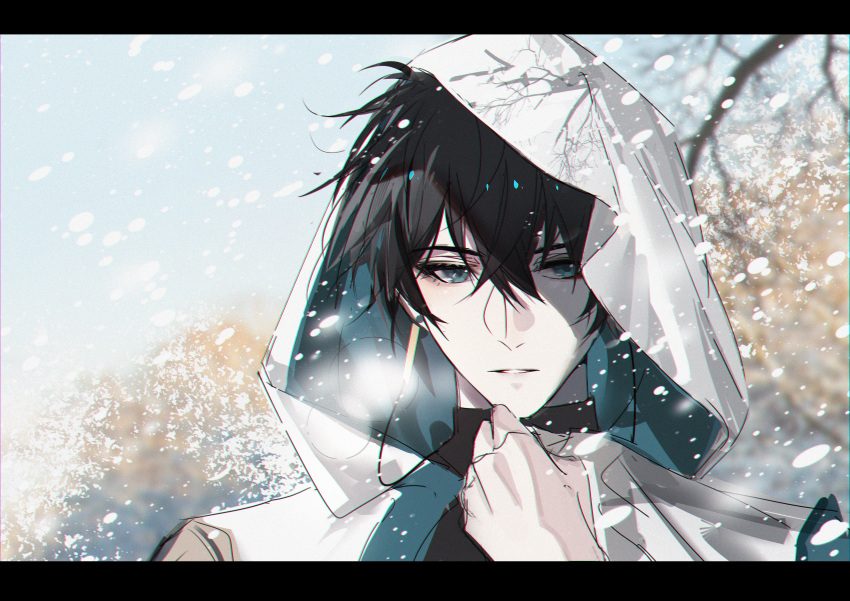 1boy, absurdres, adjusting_clothes, aqua_eyes, aqua_jacket, bare_tree, black_border, black_hair