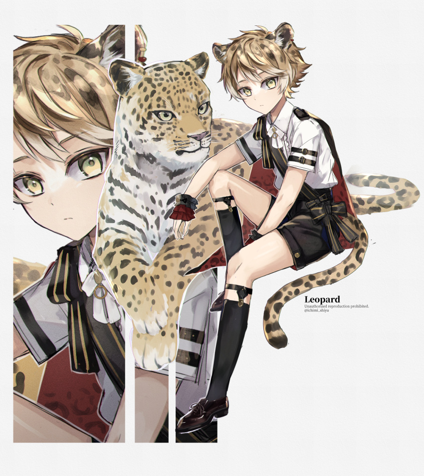 1boy, animal, animal_ears, blonde_hair, cape, collared_shirt, highres, ichimishiyu