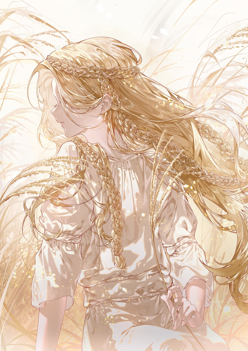 1boy, blonde_hair, braid, cuso4_suiwabutu, dress, elden_ring, flower, highres