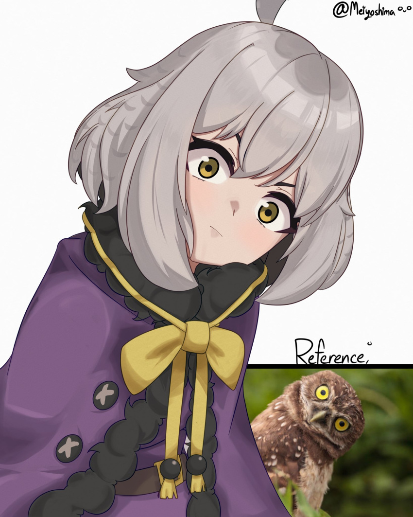 1girl, ahoge, belt, borrowed_character, breasts, brown_belt, cape, commentary, dress, english_commentary, fur-trimmed_cape, fur_trim, grey_hair, hair_between_eyes, highres, looking_at_viewer, medium_breasts, meiyoshima, mono_(sifserf), multicolored_hair, original, owl_girl, purple_cape, purple_dress, reference_inset, ribbon, simple_background, solo, staring, twitter_username, two-tone_hair, white_background, yellow_eyes, yellow_ribbon