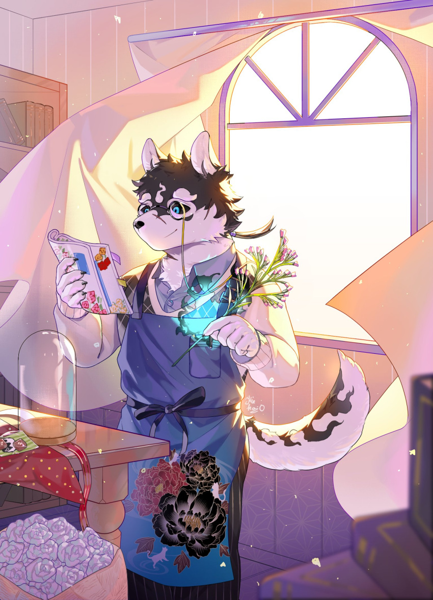 apron, blue_eyes, book, book_stack, bookshelf, curtains, floral_print, glasses