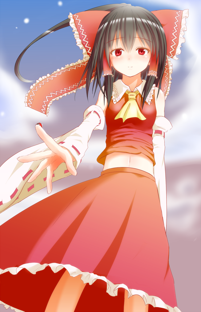 1girl, ascot, bare_shoulders, black_hair, bow, breasts, bug, clouds