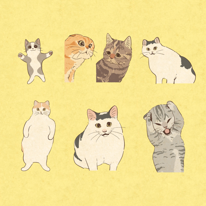 animal, animal_focus, cat, cat_covering_ears_(meme), closed_eyes, closed_mouth, commentary, full_body