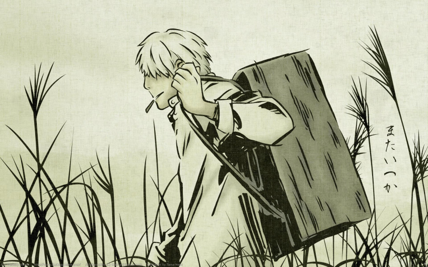 ginko, mushishi, tagme