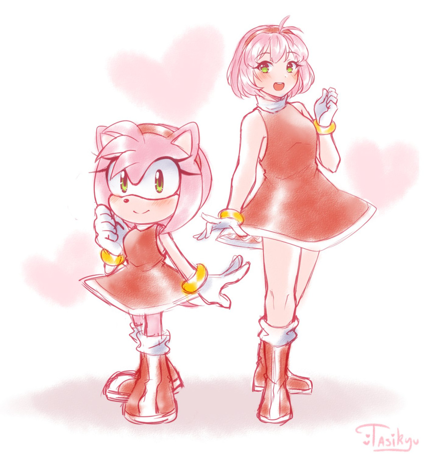 2girls, amy_rose, blush, dress, furry, furry_female, gloves, green_eyes