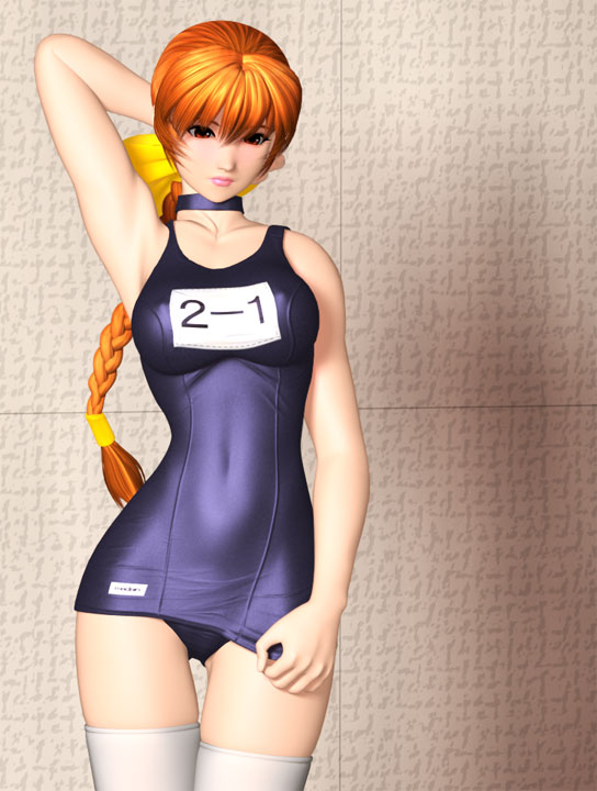 braid, braids, dead_or_alive, kasumi, long_hair, name_(nahopa!), name_tag, one-piece_swimsuit