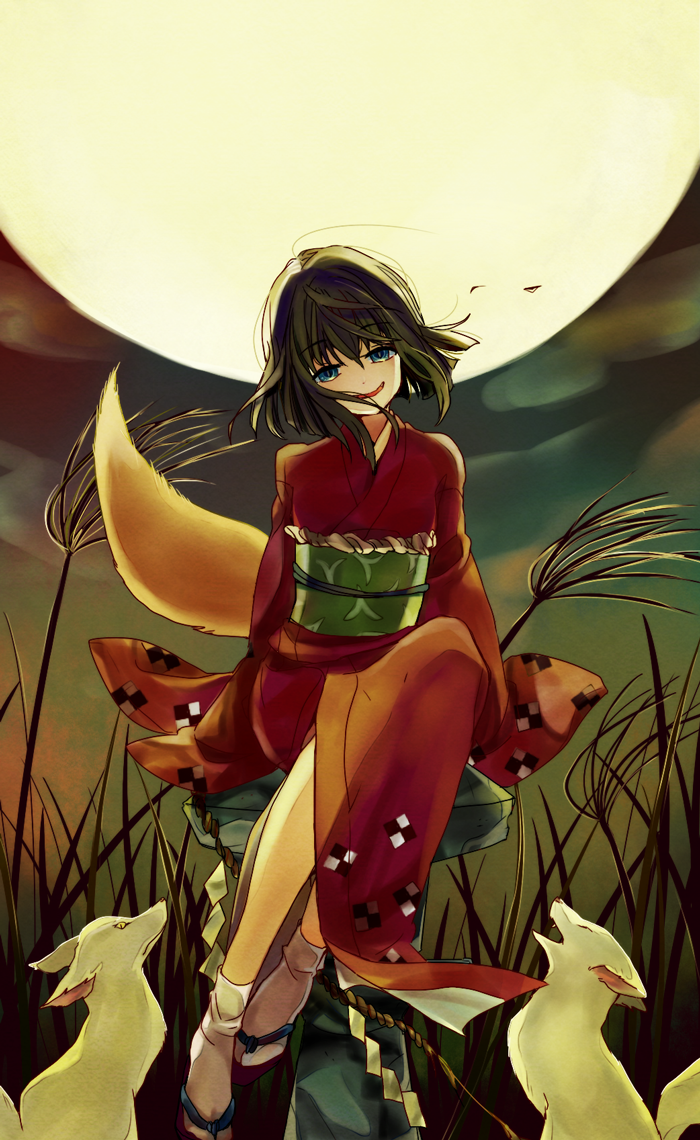 1girl, animal, black_hair, blue_eyes, fox, fox_girl, fox_tail, full_moon