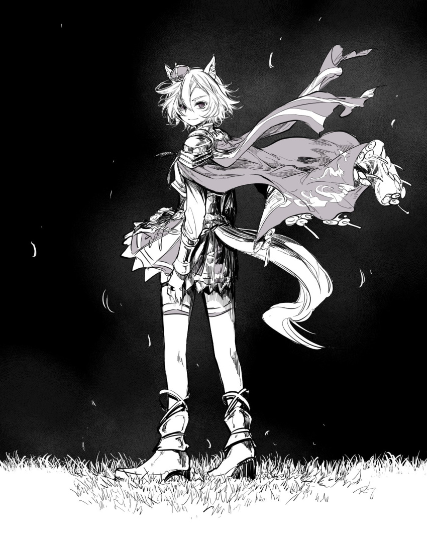 1girl, animal_ears, armor, arms_at_sides, asymmetrical_bangs, boots, cape, closed_mouth