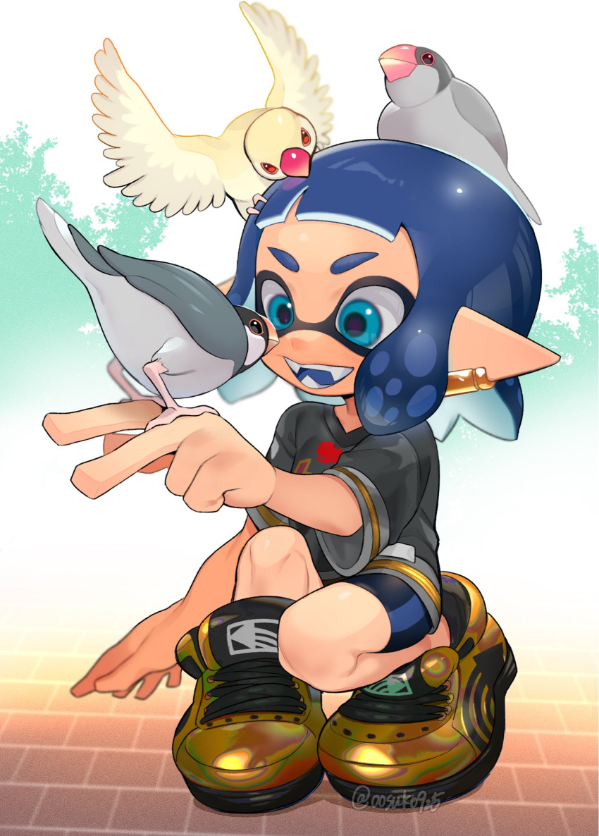 1boy, animal_on_head, beak, bird, bird_on_hand, bird_on_head, blue_eyes, blue_hair