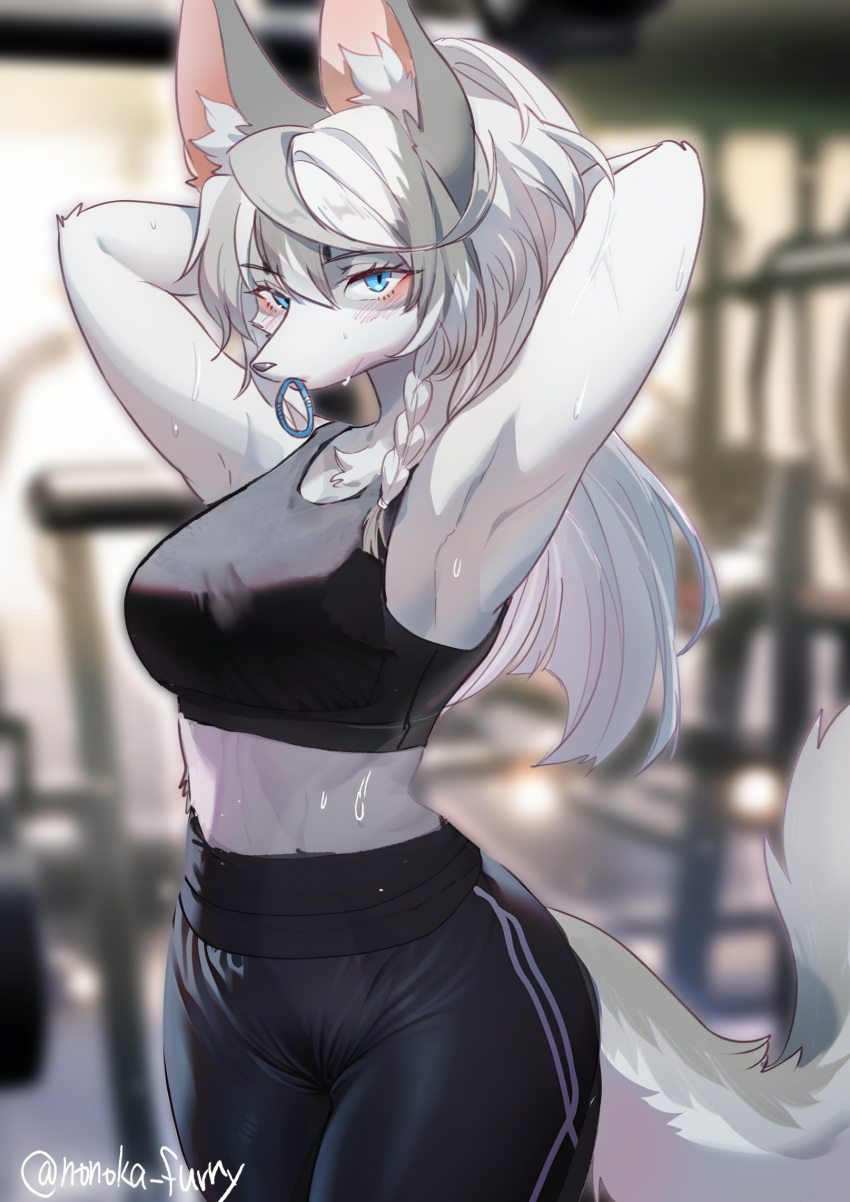 1girl, animal_ears, arm_up, armpits, arms_behind_head, artist_name, black_pants, black_sports_bra