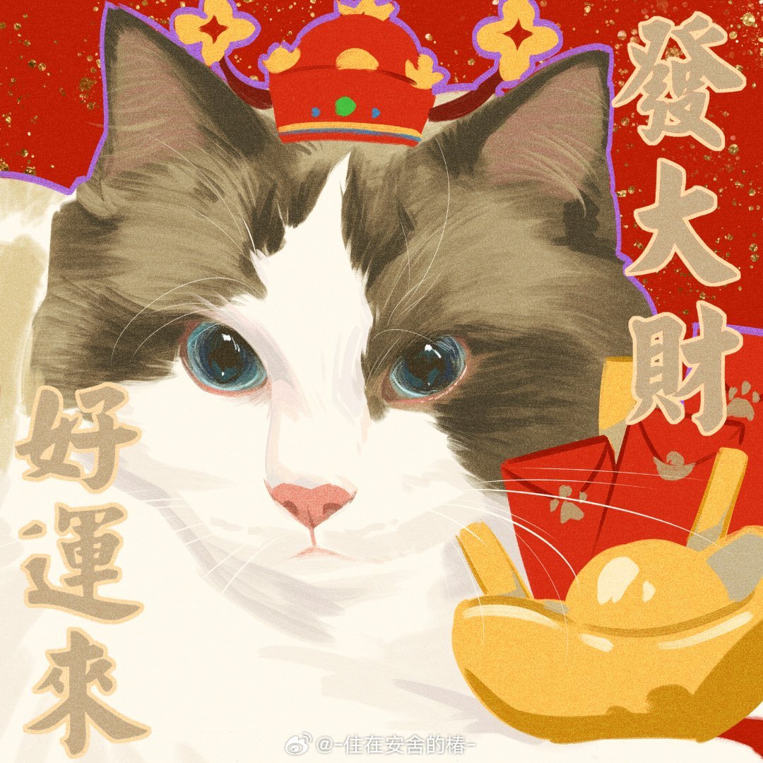 animal, animal_focus, aqua_eyes, artist_name, black_cat, cat, chinese_commentary, chinese_text