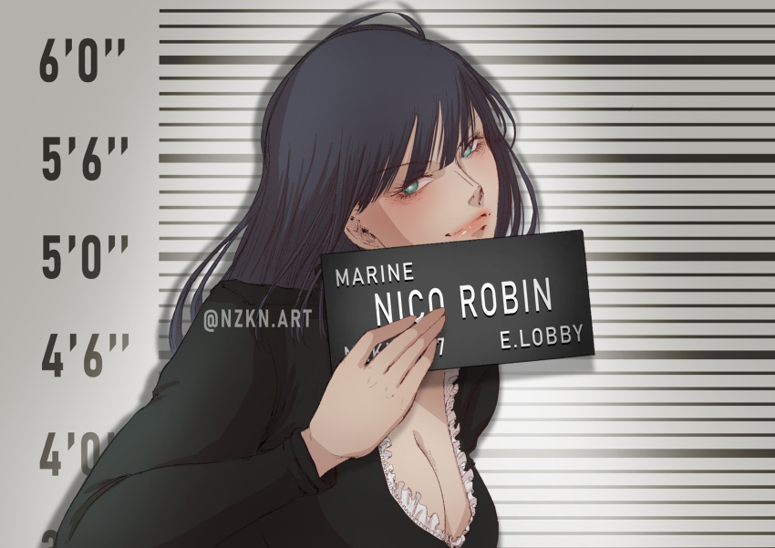 1girl, artist_name, barbie_mugshot_(meme), black_hair, blue_eyes, blunt_bangs, character_name, closed_mouth