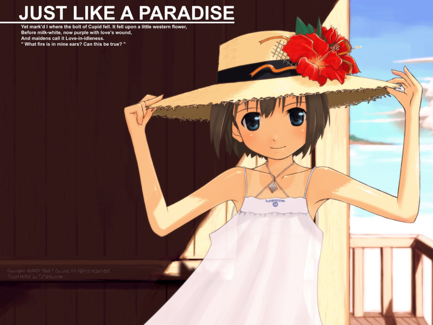 5th_coin, brown_hair, dress, flower, hat, hat_flower, matsumae_takumi, original