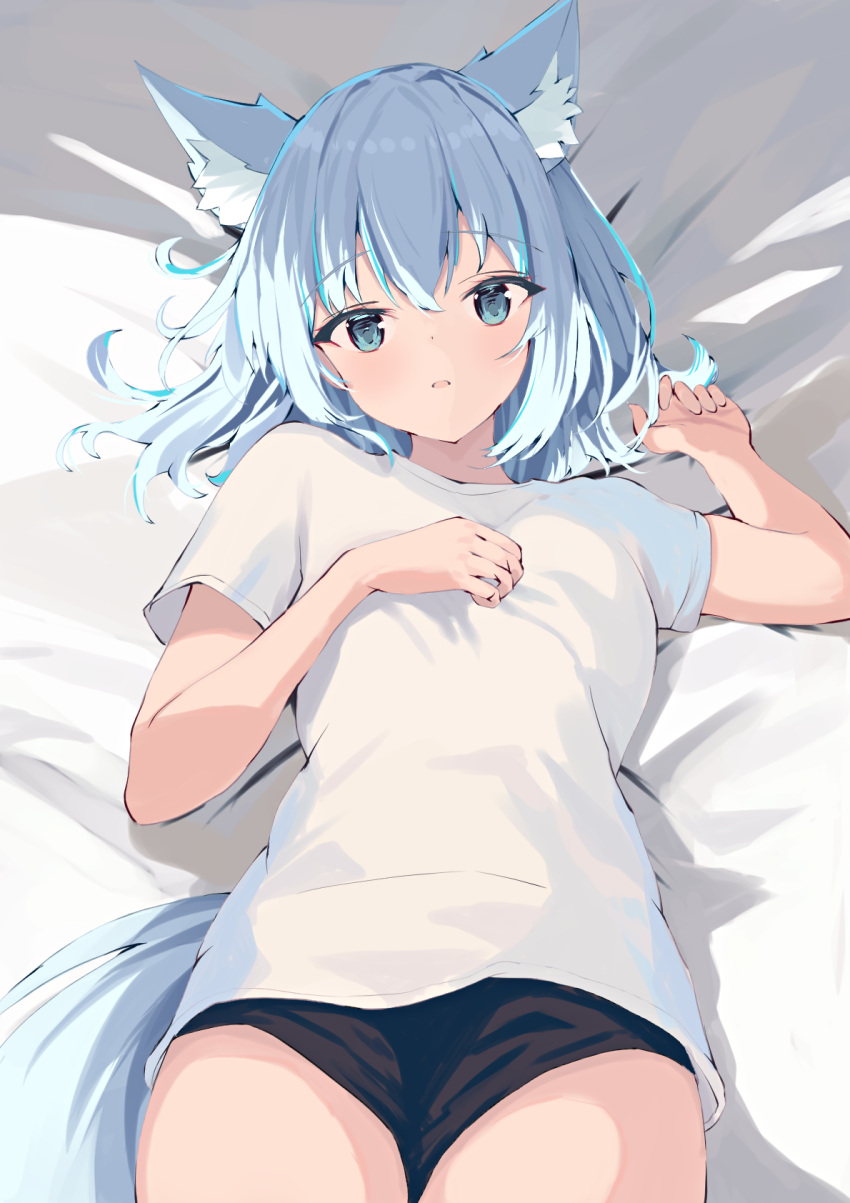 1girl, animal_ear_fluff, animal_ears, black_shorts, blue_eyes, blue_hair, fox_ears, fox_girl