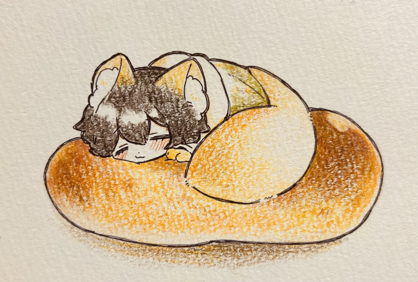 1boy, :3, animal_ears, animal_hands, black_hair, blush, bread, cloak