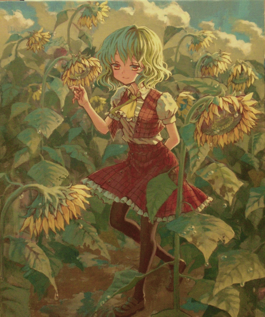 ama-tou, arm_behind_back, ascot, black_legwear, cloud, dew_drop, flower, green_hair