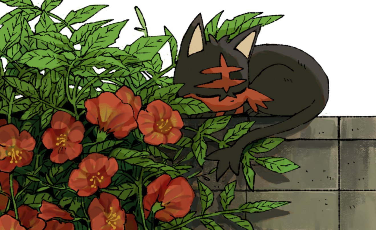 black_fur, cat, closed_eyes, flower, leaf, litten, lying, mashita._(mentaiko_omoti)