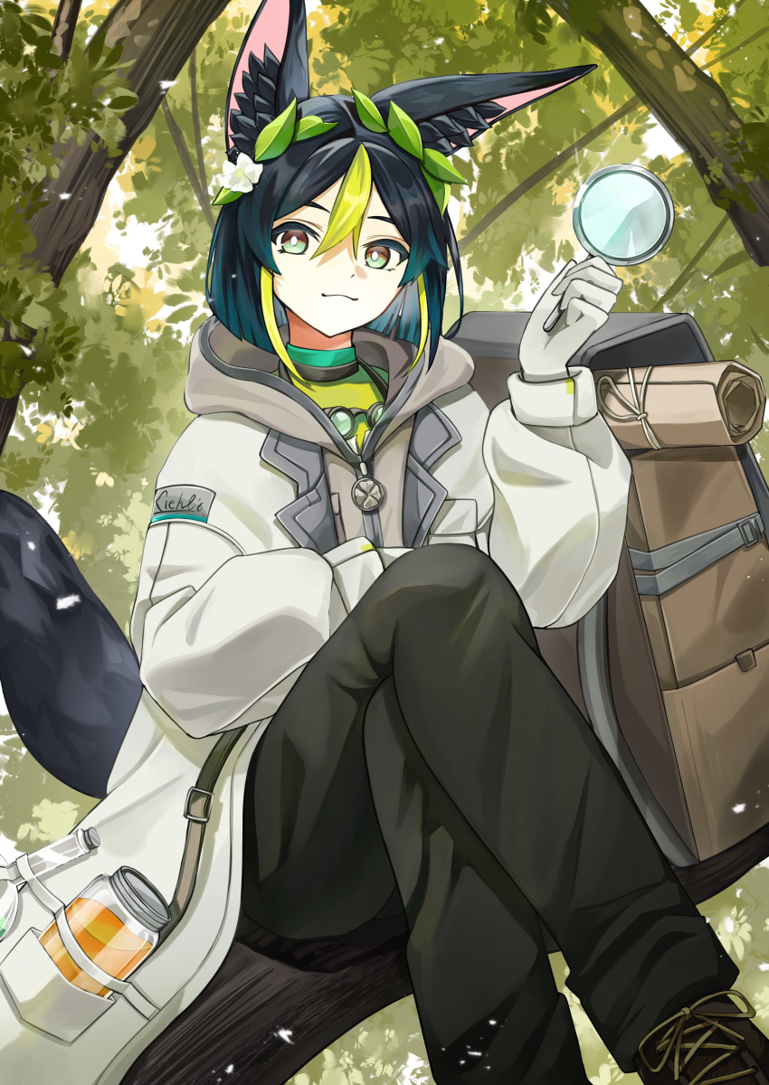 absurdres, animal_ear_fluff, animal_ears, aomiya_souju, black_hair, black_pants, closed_mouth, coat, crossed_legs, flower, fox_boy, fox_ears, fox_tail, genshin_impact, gloves, green_hair, hair_flower, hair_ornament, highres, holding, holding_magnifying_glass, hood, hood_down, in_tree, jar, leaf, leaf_on_head, long_sleeves, looking_at_viewer, magnifying_glass, multicolored_hair, pants, shoes, sitting, solo, tail, tighnari_(genshin_impact), tighnari_(kiehls')_(genshin_impact), tree, white_flower, white_gloves