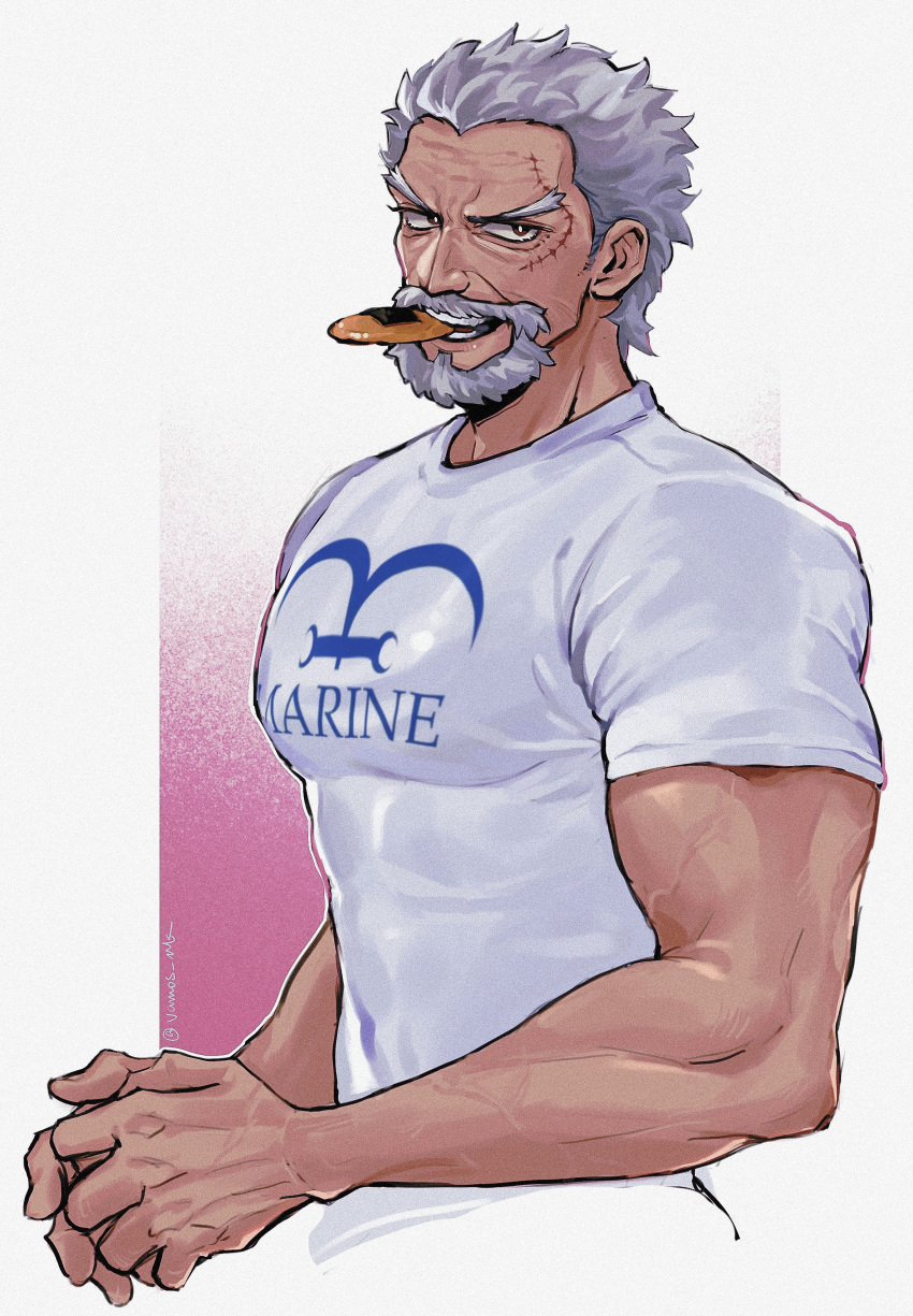 1boy, absurdres, beard, biceps, bright_pupils, brown_eyes, clothes_writing, facial_hair, food, food_in_mouth, grey_facial_hair, grey_hair, highres, male_focus, mature_male, monkey_d._garp, mouth_hold, muscular, muscular_male, old, old_man, one_piece, open_mouth, scar, scar_on_face, senbei, shirt, short_hair, short_sleeves, solo, teeth, thick_eyebrows, upper_body, vamos_mk, veins, veiny_arms, white_background, white_pupils, white_shirt, widow's_peak