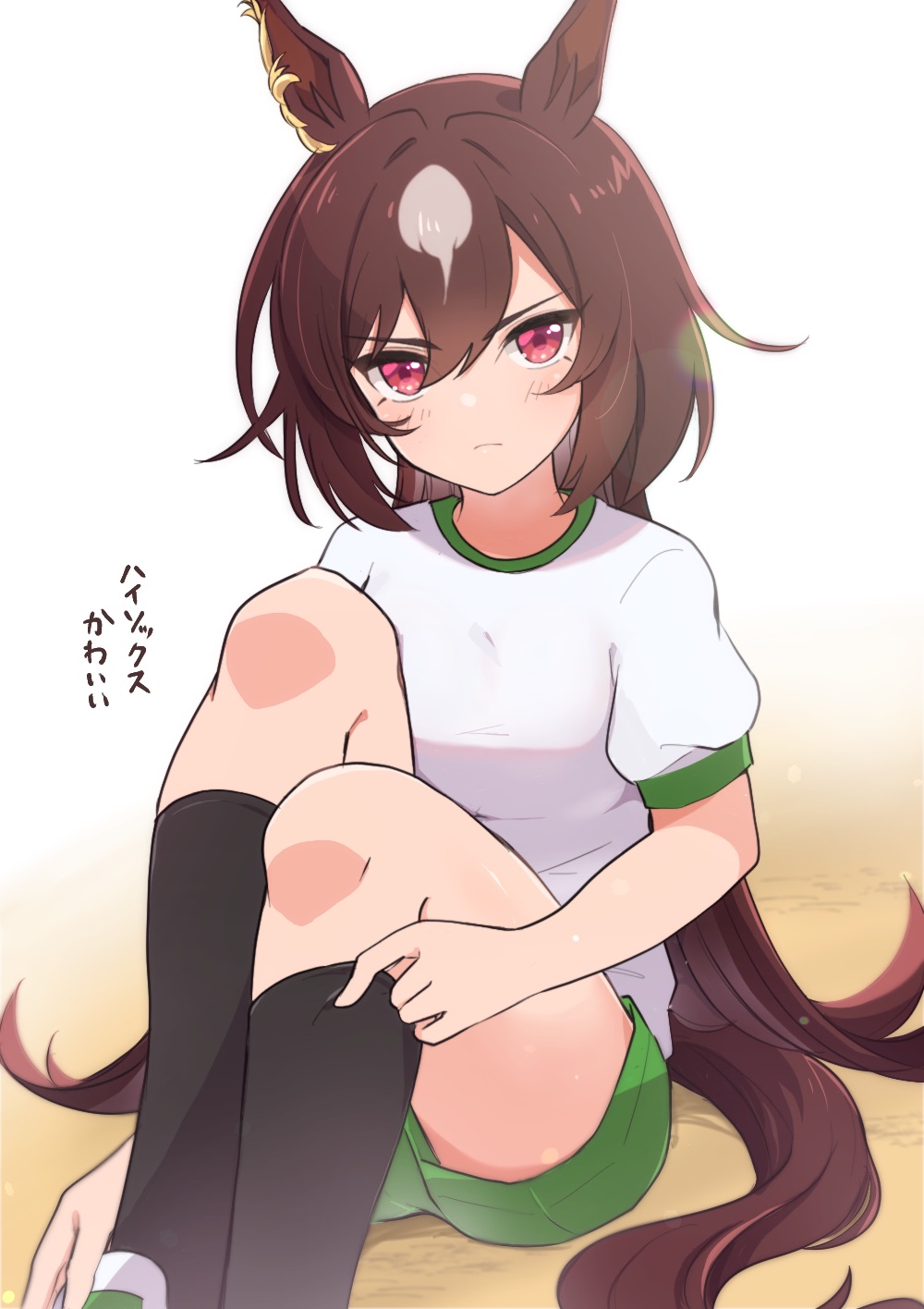 1girl, adjusting_sock, alternate_costume, animal_ears, black_socks, breasts, brown_hair, closed_mouth