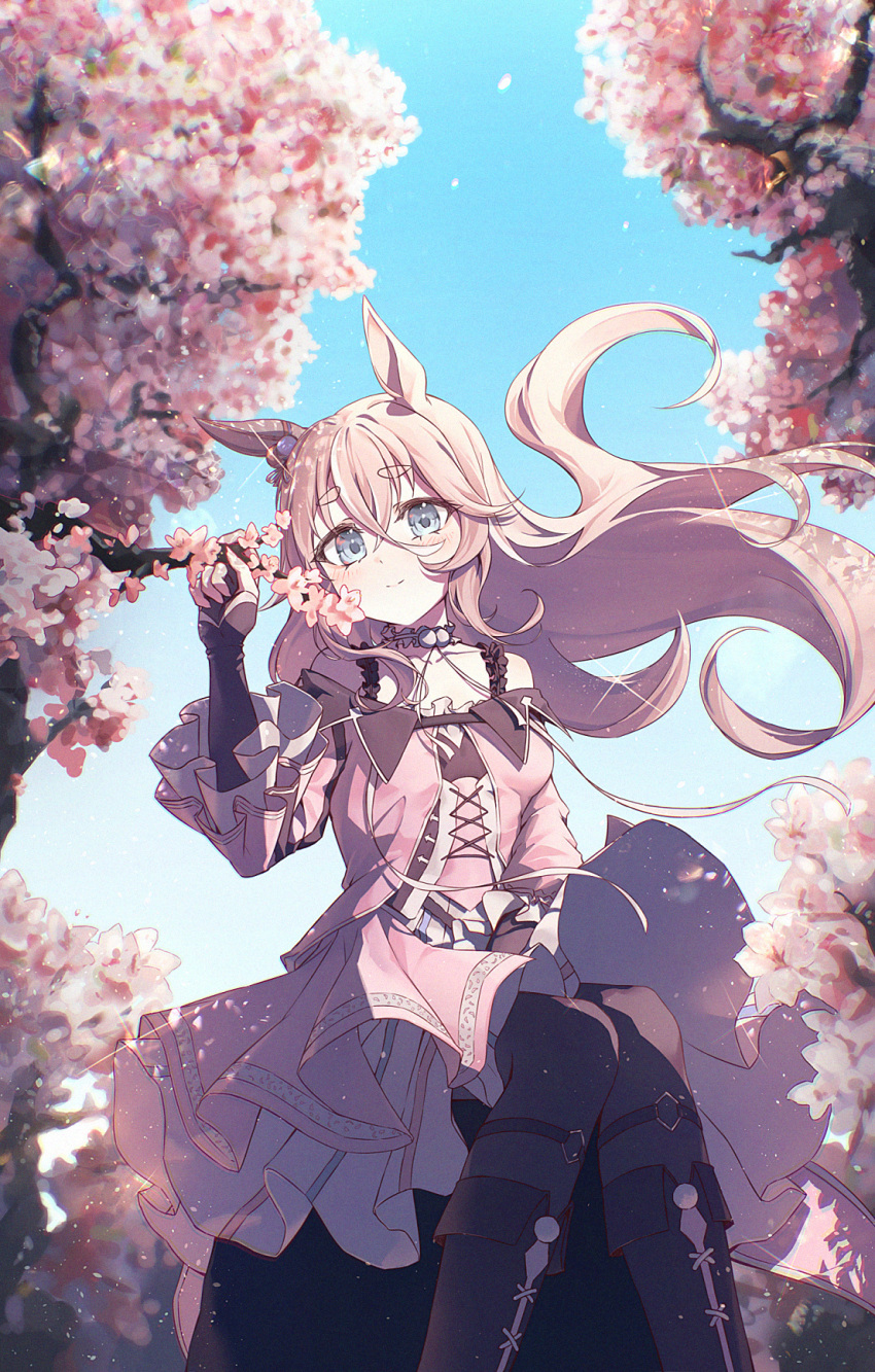 1girl, animal_ears, bare_shoulders, black_footwear, black_pantyhose, bneoul, boots, cherry_blossoms