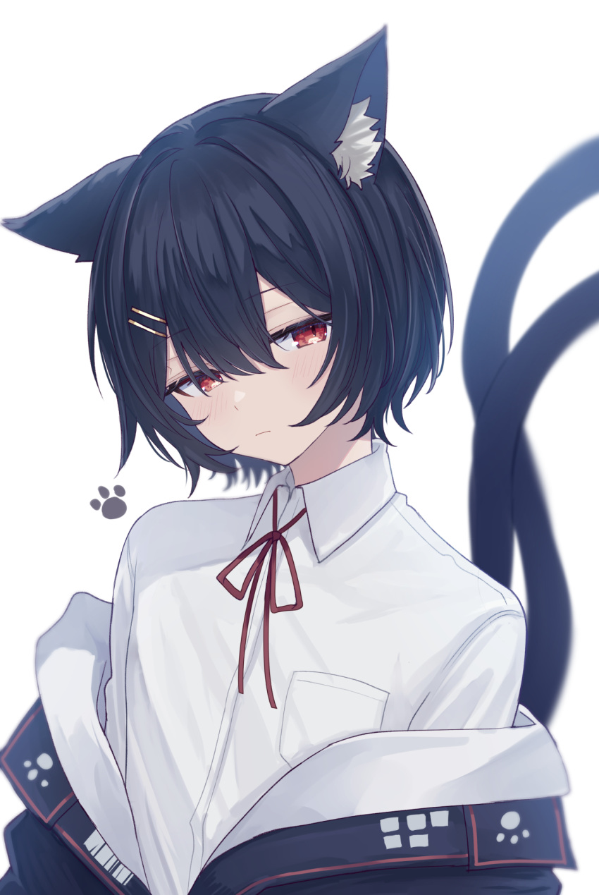 1boy, alternate_hair_length, alternate_hairstyle, animal_ears, black_hair, black_jacket, breast_pocket, cat_boy, cat_ears, cat_tail, chisuzu_mei, chucolala, closed_mouth, collared_shirt, commentary_request, expressionless, genderswap, genderswap_(ftm), hair_ornament, hairclip, highres, jacket, jitome, looking_at_viewer, male_focus, multiple_tails, neck_ribbon, off_shoulder, otoko_no_ko, paw_print, pocket, red_eyes, red_ribbon, ribbon, sese_nagi, shirt, short_hair, simple_background, solo, tail, transparent_background, two_tails, upper_body, virtual_youtuber, white_shirt