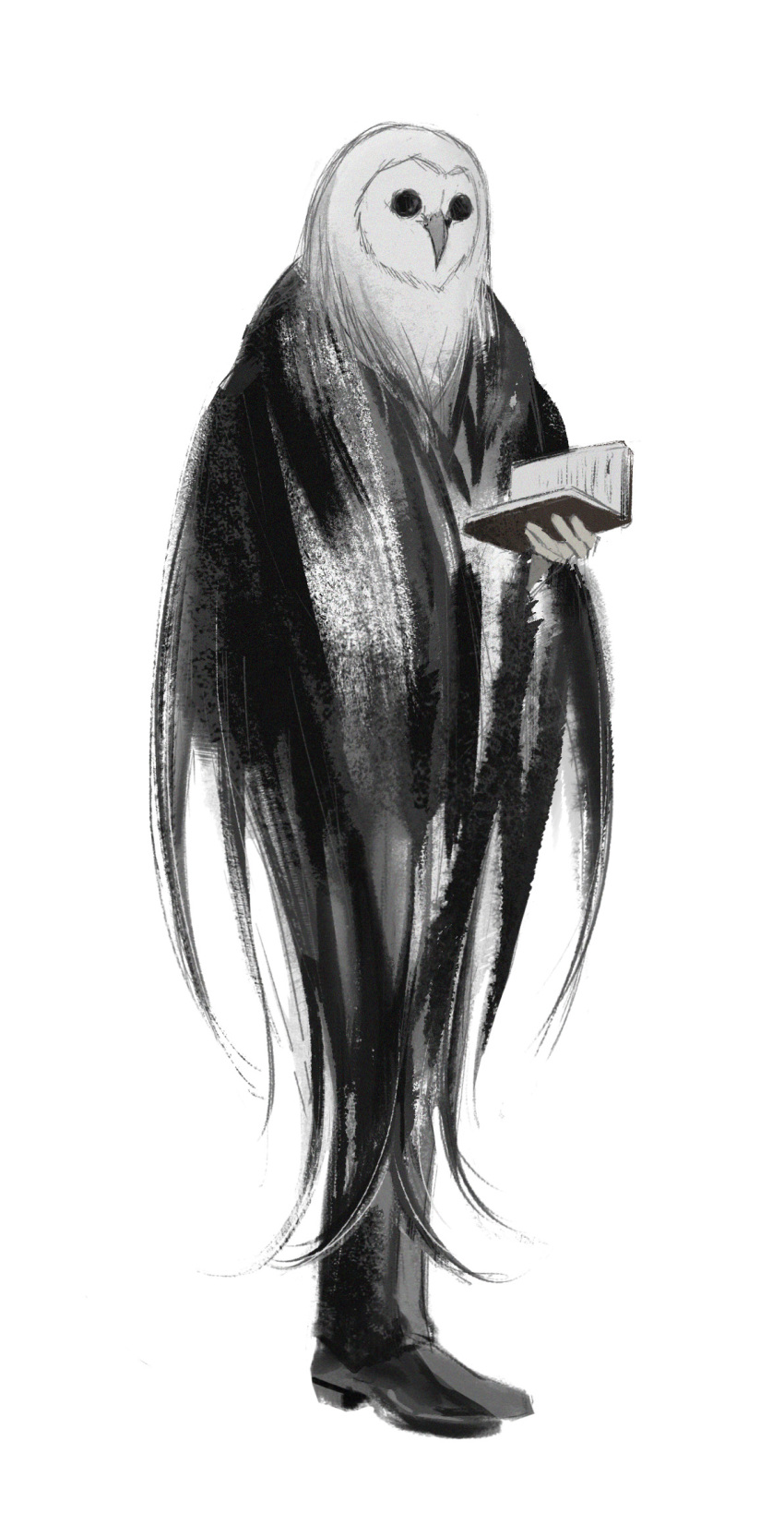 1boy, animal_head, bird, black_cape, black_footwear, black_pants, black_souls, book