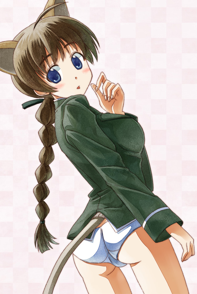 animal_ears, ass, blue_eyes, blush, braid, brown_hair, hoshi_sukii, long_hair, looking_back, lynette_bishop, panties, single_braid, strike_witches, tail, underwear