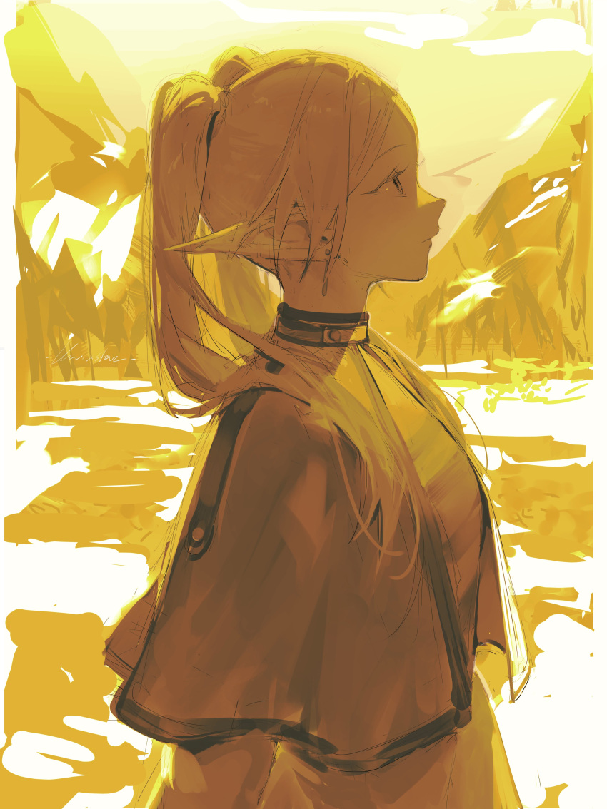 1girl, absurdres, capelet, closed_mouth, commentary, dress, earrings, elf