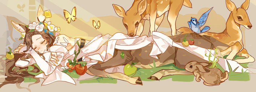 1girl, animal_ears, apple, bare_shoulders, bird, blue_bird, brown_background, brown_hair