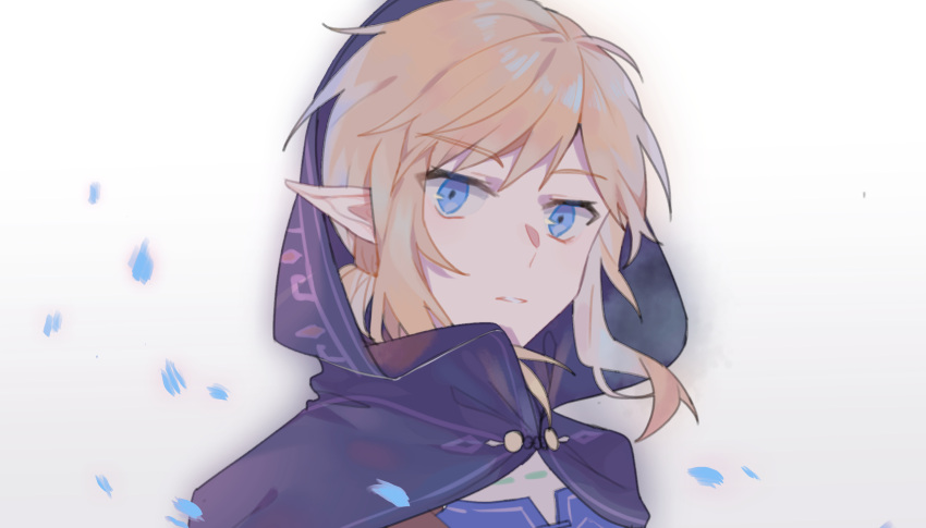 1boy, black_cloak, blonde_hair, blue_eyes, blue_petals, blue_shirt, cloak, falling_petals