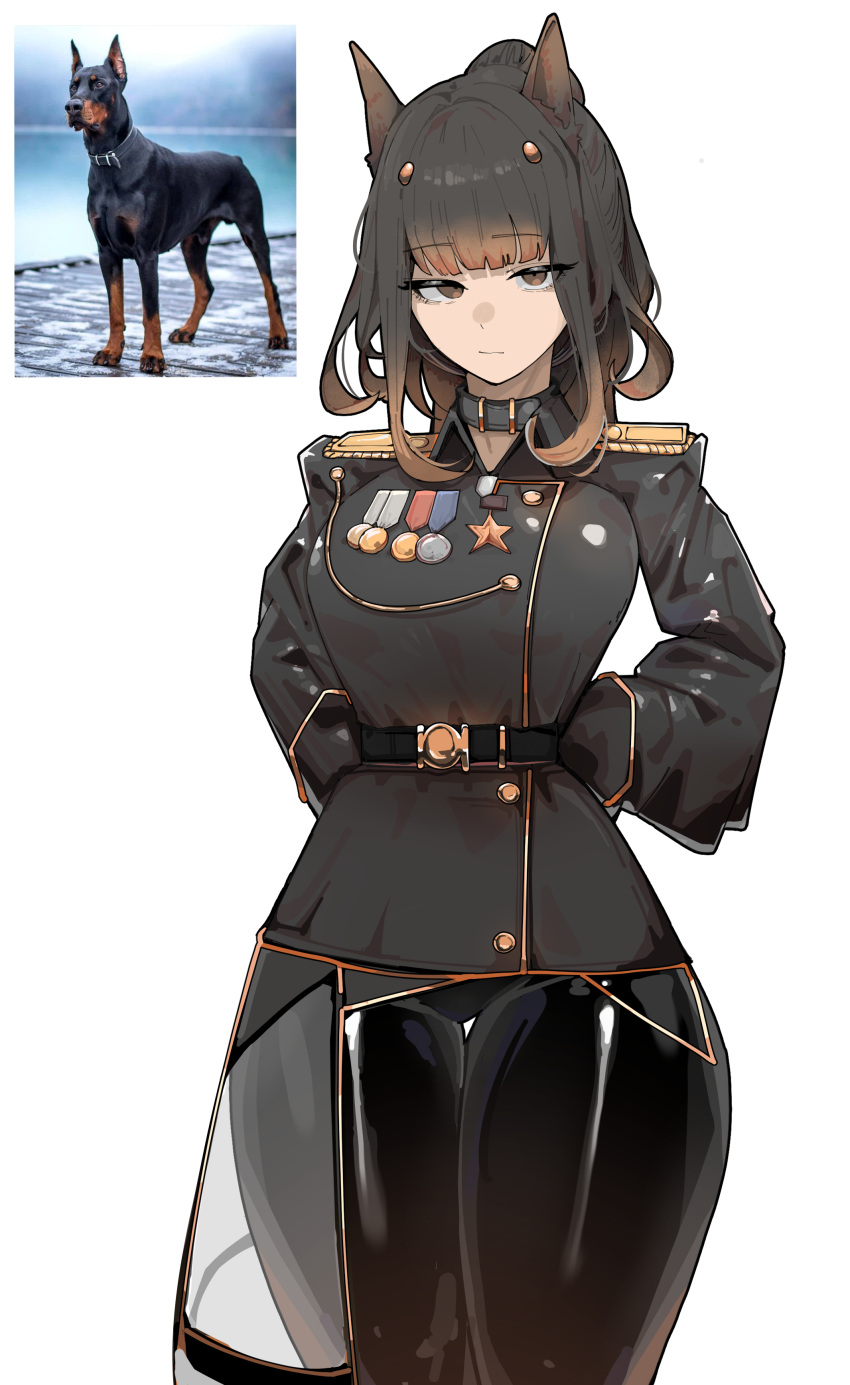 1girl, absurdres, animal_collar, animal_ears, arms_behind_back, azz0422, belt, black_pants