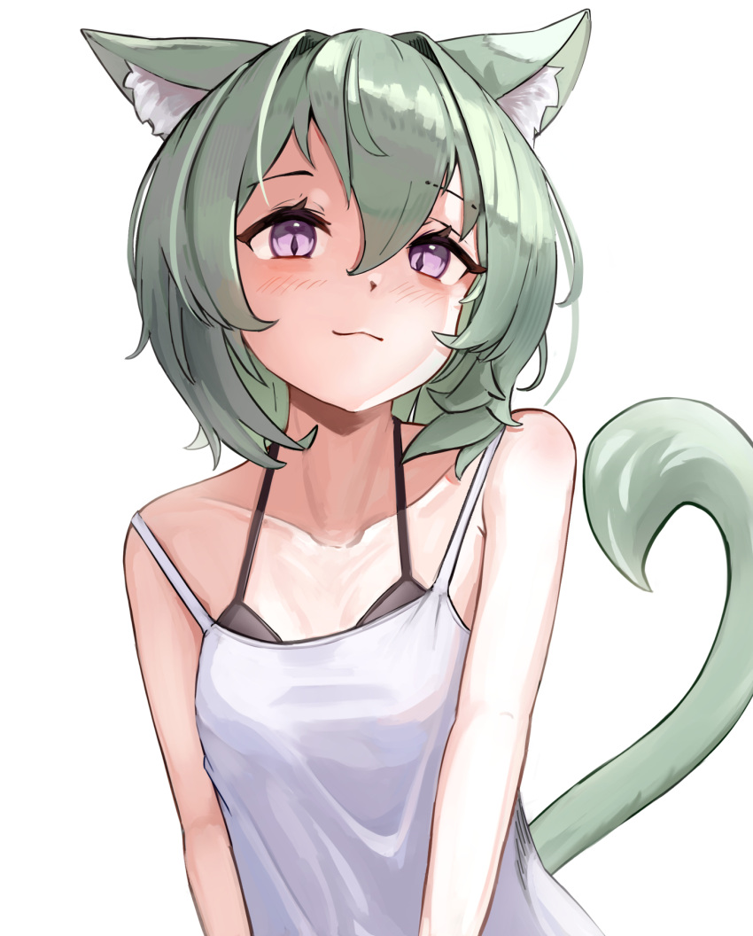 1girl, animal_ear_fluff, animal_ears, black_bra, bra, breasts, camisole, cat_ears